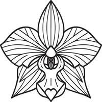 Orchid flower coloring pages. Orchid flower outline for coloring book vector