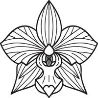 Orchid flower coloring pages. Orchid flower outline for coloring book vector