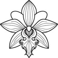 Orchid flower coloring pages. Orchid flower outline for coloring book vector