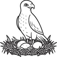 Hawk coloring pages. Hawk bird outline for coloring book vector