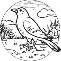 Crow coloring pages. Crow bird outline for coloring book vector