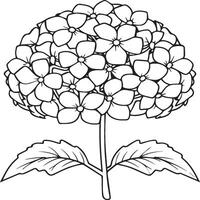 hortensia colorante paginas hortensia flor contorno para colorante libro vector