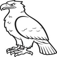 Eagle coloring pages. Eagle bird outline for coloring book vector