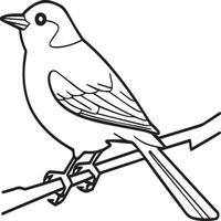 Magpie Flying Bird for children. Coloring book. Bird illustration. Magpie coloring pages vector