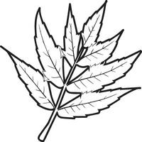 Leaf coloring pages. Leaf outline for coloring book vector