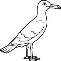 Seagull coloring pages. Seagull outline for coloring book vector