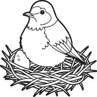 Robin coloring pages. Robin bird outline for coloring book vector