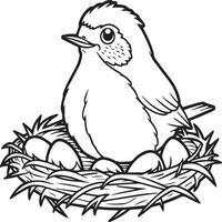 Robin coloring pages. Robin bird outline for coloring book vector