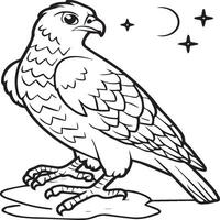 Falcon coloring pages. Falcon bird outline for coloring book vector