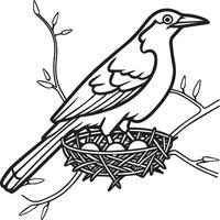 Magpie Flying Bird for children. Coloring book. Bird illustration. Magpie coloring pages vector