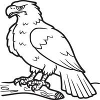 Eagle coloring pages. Eagle bird outline for coloring book vector