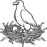 Eagle coloring pages. Eagle bird outline for coloring book vector