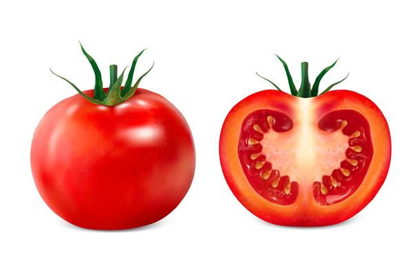 Delicious sliced tomato 3d illustration on white background