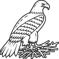 Eagle coloring pages. Eagle bird outline for coloring book vector