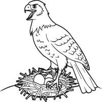 Hawk coloring pages. Hawk bird outline for coloring book vector