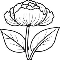 Peony coloring pages. Peony flower outline for coloring book vector