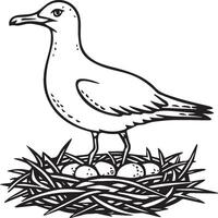 Seagull coloring pages. Seagull outline for coloring book vector