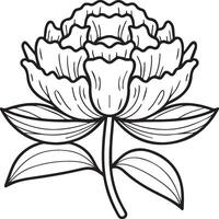 Peony coloring pages. Peony flower outline for coloring book vector