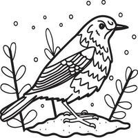 Robin coloring pages. Robin bird outline for coloring book vector