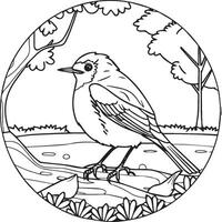 Robin coloring pages. Robin bird outline for coloring book vector