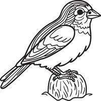 Sparrow coloring pages. Sparrow bird outline for coloring book vector