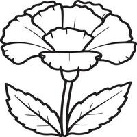 Carnation flower coloring pages. Carnation flower outline vector