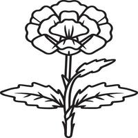 Carnation flower coloring pages. Carnation flower outline vector