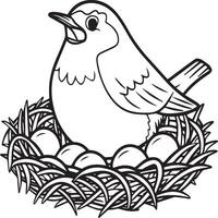 Robin coloring pages. Robin bird outline for coloring book vector