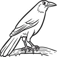 Crow coloring pages. Crow bird outline for coloring book vector