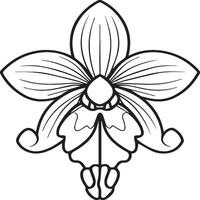 Orchid flower coloring pages. Orchid flower outline for coloring book vector