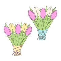 Set 2 tulips bouquets in colorful wrapping paper in trendy soft shades. Design elements for greeting vector