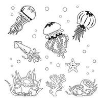 Marine set, anemone, squid, jellyfish and corrals in simple linear style. Black and white graphics for books and posters vector