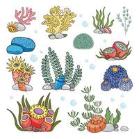 Marine set, anemones, algae and coral in a simple cartoon style. Color graphics for books and posters. children guides vector