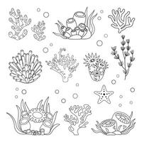 marina colocar, algas y coral en sencillo lineal estilo. negro y blanco gráficos para libros y carteles vector