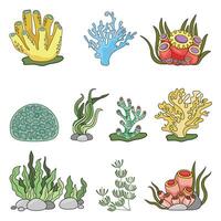 Marine set, anemones, algae and coral in a simple cartoon style. Color graphics for books and posters. children guides vector