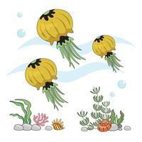 set Jellyfish. Insulated yellow jellyfish on a white background, sea bottom. Color illustration in the style of cartoon. Seafloor with algae, shells and corals vector