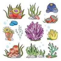 Marine set, anemones, algae and coral in a simple cartoon style. Color graphics for books and posters. children guides vector