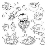 Marine set, fish, squid, jellyfish and shells in simple linear style. Black and white graphics for books and posters vector