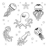 Marine set, anemone, octopus, squid, jellyfish and corrals in simple linear style. Black and white graphics for books and posters vector