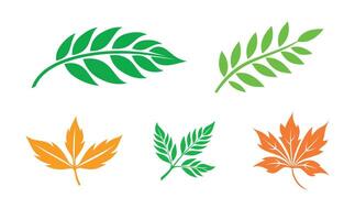 Leaf icon set on white background. illustration in trendy flat style vector