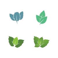 Mint leaf logo template symbol design vector