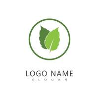 Mint leaf logo template symbol design vector