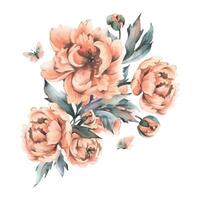 Delicate flowers, buds and leaves of peach and pink peonies with butterflies in a trendy color and vintage style. Hand drawn watercolor illustration. Composition isolated from background vector