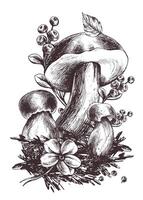 hongos bosque boleto con césped, arándanos, musgo y cono. gráfico ilustración mano dibujado en negro tinta. prefabricado composición eps . vector