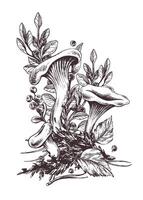 Forest chanterelle mushrooms with blueberry bushes, moss and autumn leaves. Graphic illustration hand drawn in black ink. Pre-made composition EPS . vector