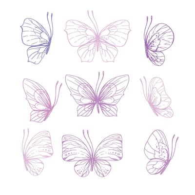 Butterflies are pink, blue, lilac, flying, delicate line art, clip art. Graphic illustration hand drawn in pink, lilac ink. Set of isolated objects EPS .