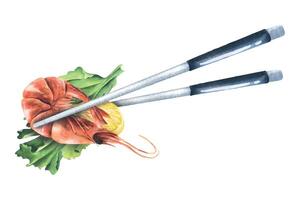 hervido camarón, limón con palillos. acuarela ilustración. composición en un blanco antecedentes desde el camarón recopilación. para decoración y diseño de embalaje, menús, recetas, cocina utensilios vector