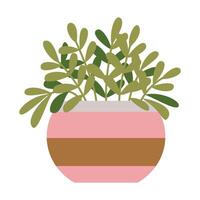 Potted house plant, cartoon style. Trendy modern illustration isolated on white background, hand drawn, flat design vector