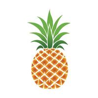 Pineapple natural food color icon. Freshness sweet art design. vector