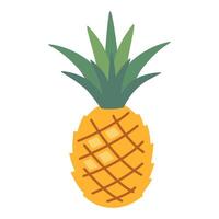 Pineapple, cartoon style. Trendy modern illustration isolated on white background, hand drawn, flat design vector